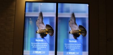 Digital signage in combinatie met IOT stelt merken en ondernemingen in staat om in realtime op maat gemaakte berichten aan doelgroepen te leveren.