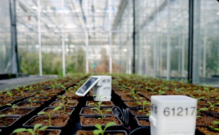 Dankzij IoT kunnen boeren gebruik maken van slimme apparaten om sproeisystemen aan en uit te zetten, monitors om oogst-opbrengsten te meten, sensoren voor bodemvocht.